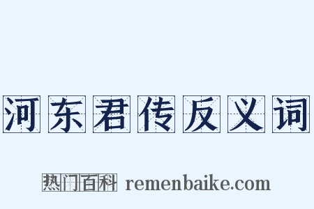 河东君传反义词是什么意思的图片